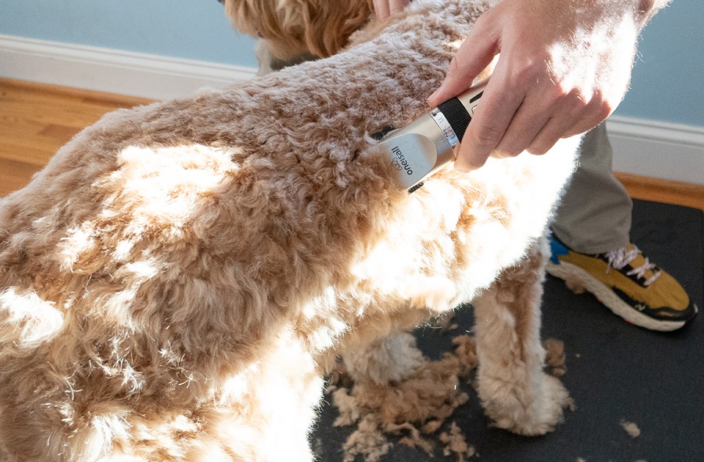 grooming clipper