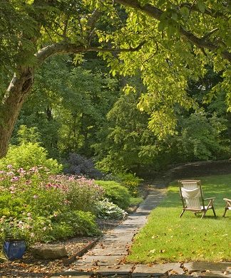 Two chairs under a tree in garden