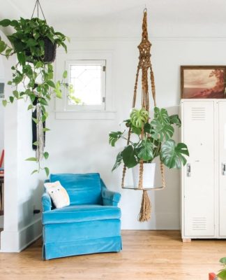 room with chair, hanging plants